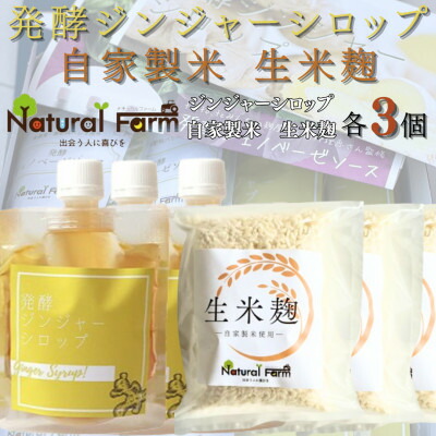 【ふるさと納税】発酵ジンジャーシロップ&生米麹　各3パックセット B4-5【配送不可地域：離島】【1619483】
