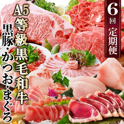【ふるさと納税】定期便(6回)A5等級黒毛和牛・黒豚・かつお・まぐろ FF-0058_ 肉 お肉 牛肉 サーロイン ステーキ 焼肉 ハンバーグ 切り落とし 豚肉 ロース バラ しゃぶしゃぶ 生ハム  鮪 鰹 カツオ【配送不可地域：離島】【1166770】
