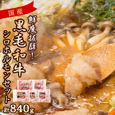 【ふるさと納税】国産黒毛和牛シロホルモンセット　840g A3-383【配送不可地域：離島】【1694678】