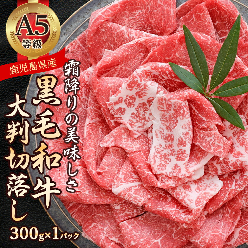 【ふるさと納税】A5等級鹿児島県産黒毛和牛大判切落し(枕崎市) A0-78_ 肉 牛肉 黒毛和牛 切り落とし 鹿児島県 A5 人気 おすすめ 送料無料 贈答 ギフト 冷凍 枕崎 すき焼き 【配送不可地域：離島】【1650517】