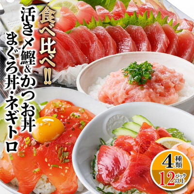 【ふるさと納税】枕崎ぶえん鰹800g & 漬け丼3種9袋(かつお・まぐろ・ネギトロ) A6-140_ 鰹 かつお まぐろ 鮪 ネギトロ 定期便 鹿児島県 枕崎 漬け丼 ぶえん鰹 人気 おすすめ 送料無料 贈答 ギフト 【配送不可地域：離島】【1166317】