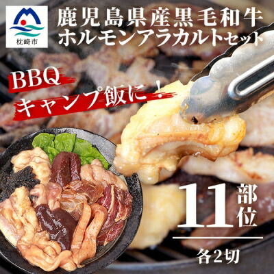 【ふるさと納税】鹿児島県産黒毛和牛 ホルモン アラカルトセット 食べ比べ11部位 焼肉屋店主こだわり A3-203【配送不可地域：離島】【1166394】画像