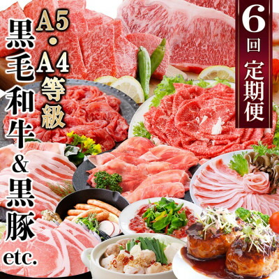 【ふるさと納税】定期便(6回)A5・A4等級黒毛和牛・黒豚etc FF-0061_ 肉 牛肉 サーロイン ステーキ 焼肉 ハンバーグ 切り落とし 豚肉 生姜焼き ロース バラ しゃぶしゃぶ ホルモン ソーセージ 生ハム 人気 送料無料 【配送不可地域：離島】【1166779】
