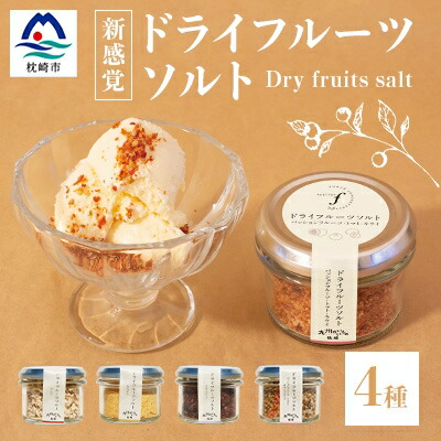 【ふるさと納税】ドライフルーツソルト4種 A8-51【配送不可地域：離島】【1167929】