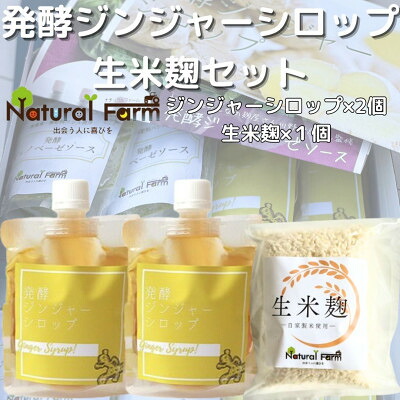 【ふるさと納税】発酵ジンジャーシロップ&生米麹A5-15【配送不可地域：離島】【1482023】