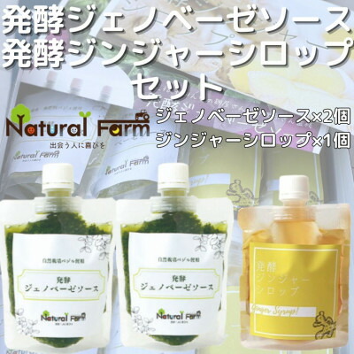 【ふるさと納税】発酵ジェノベーゼソース×発酵ジンジャーシロップA5-14【配送不可地域：離島】【1482046】