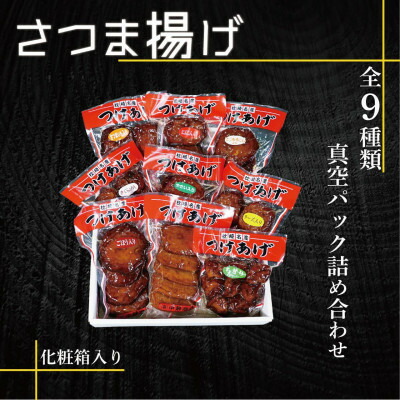 【ふるさと納税】真空パック さつま揚げ(つけあげ)全9種詰合せ 化粧箱入り B0-22【配送不可地域:離島】【1487548】|鹿児島県枕崎市