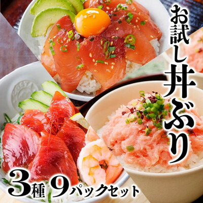 【ふるさと納税】お試し丼ぶり3種9パックセット　A0-63_ 鰹 かつお マグロ 鮪 ネギトロ セット 海鮮丼 丼 海鮮 便利 簡単 冷凍 小分け 人気 おすすめ 送料無料 お試し 食べ比べ 鹿児島県 枕崎 流水解凍 魚介 【配送不可地域：離島】【1505334】