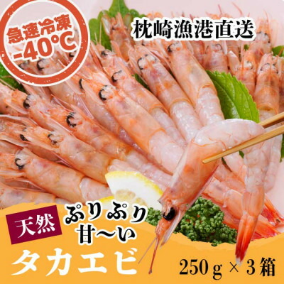 【ふるさと納税】天然タカエビ250g×3箱　A1-1_ 甘エビ 海老 あまえび 天然 海鮮 魚介類 甘海老 冷凍 【配送不可地域：離島】【1524606】