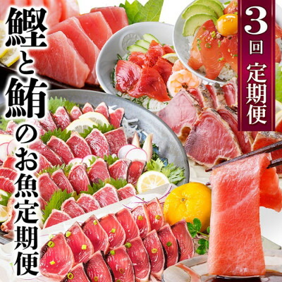 【ふるさと納税】定期便3回配送　鰹とまぐろのお魚定期便　QQ-0005【配送不可地域：離島】【1543247】