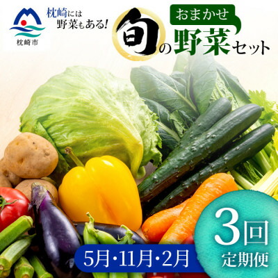 【ふるさと納税】【発送月固定定期便】枕崎の野菜!!定番・旬の野菜お任せセット(5・11・2月)DD0-0008全3回【配送不可地域：離島】【4057567】