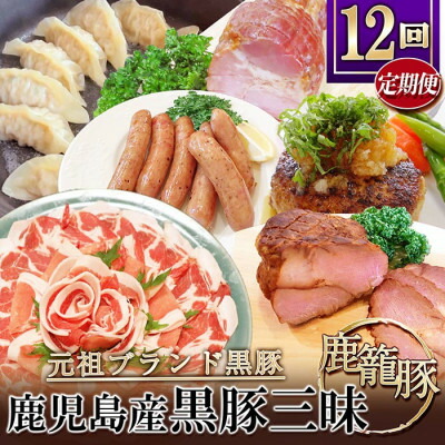 【ふるさと納税】【発送月固定定期便】鹿児島県産黒豚三昧 HH-2全12回【配送不可地域：離島】【4058399】