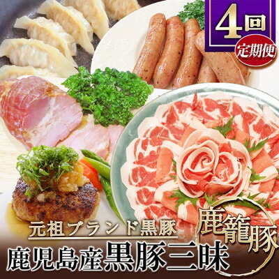 【ふるさと納税】【発送月固定定期便】鹿児島県産黒豚三昧 EE0-0005 全4回【配送不可地域：離島】【4060214】