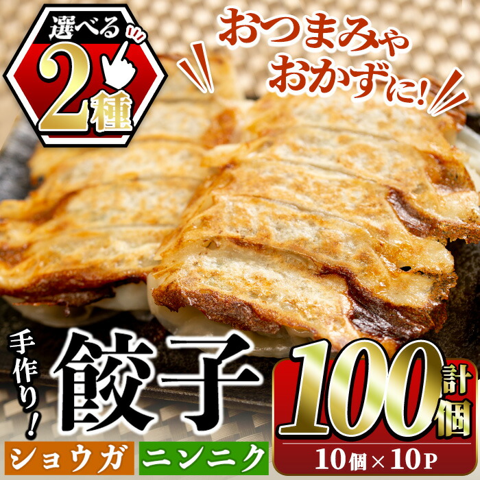 楽天市場】【ふるさと納税】＜選べる2種！＞国産豚肉使用！手作り餃子