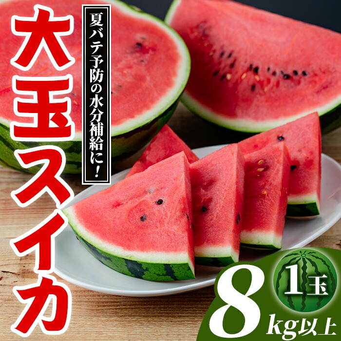 【ふるさと納税】大玉スイカ(1玉・8kg以上) 国産 九州産 鹿児島産 すいか スイカ 西瓜 フルーツ 果物 デザート 夏 旬 水分補給 夏バテ予防 熱中症対策【株式会社マキオ】a-14-56-z