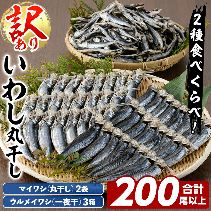 【ふるさと納税】訳あり！イワシ丸干しセット(合計200尾以上) 国産 鹿児島県産 阿久根市産 魚 魚介 水産 訳あり 訳アリ いわし 鰯 ウルメイワシ うるめいわし めざし 真イワシ 真いわし マイワシ まいわし 丸干 一夜干 食べ比べ セット 詰め合わせ 【鈴木海産】akn091-03