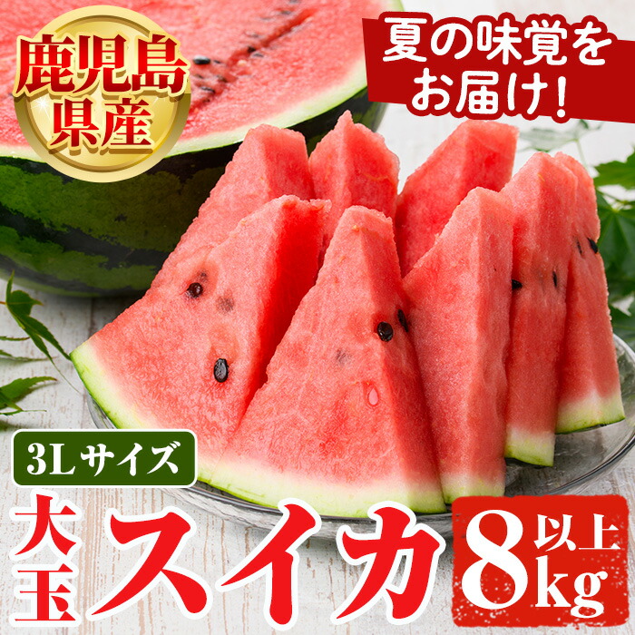 24時間以内に売れなければ300円！スイカ大✨手作り額付き作品　「タマの休日」 楽天市場】【ふるさと納税】＜先行予約受付中！2026年6月中旬以降順次