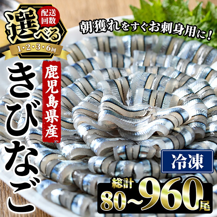 【楽天市場】【ふるさと納税】＜内容量・配送回数が選べる！＞ 鹿児島県産！阿久根のきびなごお刺身セット (80〜960尾) 魚介類 冷凍 海鮮 魚 きびなご キビナゴ 刺身 さしみ 刺し身 青魚 子魚 小分け 阿久根市産 国産 定期便 お試し 【椎木水産】：鹿児島県阿久根市