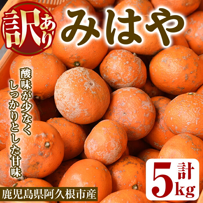【ふるさと納税】＜先行予約受付中！2025年12月以降順次発送予定＞＜数量限定・訳あり＞みはや(約5kg) 国産 鹿児島県 阿久根市 果実 果物 フルーツ 柑橘 デザート 酸味 甘味【桐野柑橘株式会社】a-10-13-z