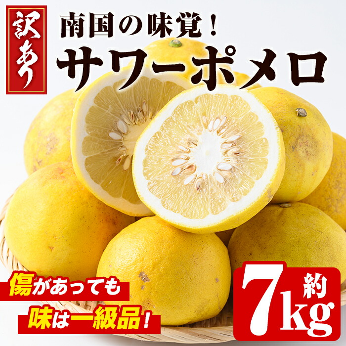（鹿児島特産品）☺︎mopica☺︎④ サワーポメロ 箱満杯詰 数量限定＞鹿児島県産サワーポメロをふんだんに使用！まるっと