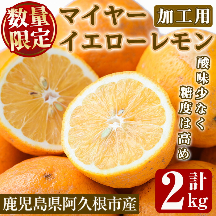 レモン　紅ぷり4kg+ポンカン4.5kgぐるりん 楽天市場】【ふるさと納税】数量限定！リスボンイエローレモン(5kg