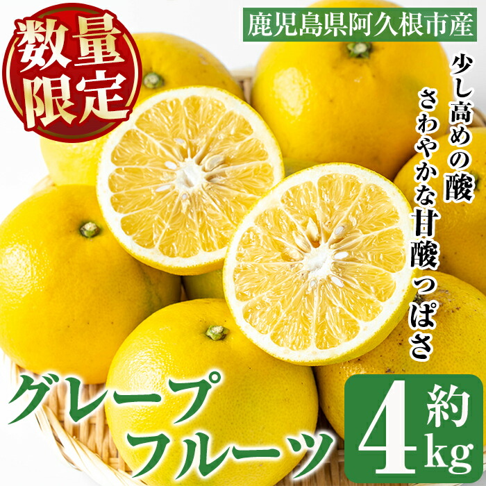 【ふるさと納税】＜先行予約受付中！2026年2月以降順次発送＞数量限定！グレープフルーツ(約4kg)国産 果実 果物 フルーツ 柑橘 デザート 期間限定【桐野柑橘株式会社】a-12-178-z