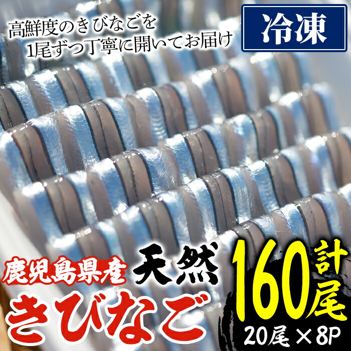 【ふるさと納税】＜冷凍＞鹿児島県阿久根産 天然きびなごのお刺身(計160尾・20尾×8パック) 国産 魚介 魚貝 海産物 鮮魚 刺身 天ぷら 冷凍配送 キビナゴ 海鮮丼 食品 セット 詰め合わせ 水産加工品【濱崎魚類】akn023-04