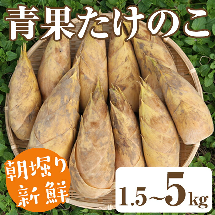 早掘り根付き筍 2kg 先行予約】 早掘り たけのこ 2kg【松永青果】 | 鹿児島県阿久根