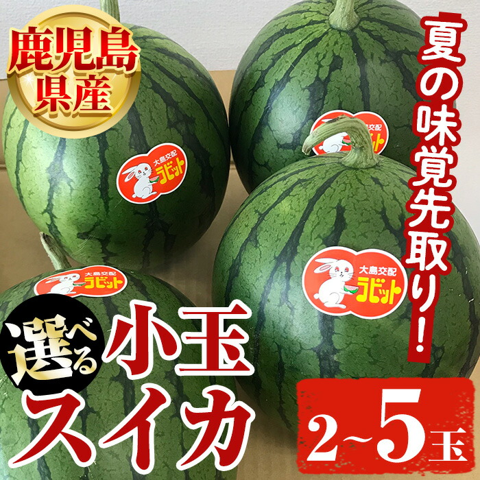 【ふるさと納税】＜先行予約受付中！2025年5月下旬以降発送予定＞＜内容量が選べる！＞鹿児島県産 小玉スイカ(2～5玉) 国産 果物 スイカ すいか 西瓜 フルーツ スイーツ スムージー ジュース 期間限定【松永青果】