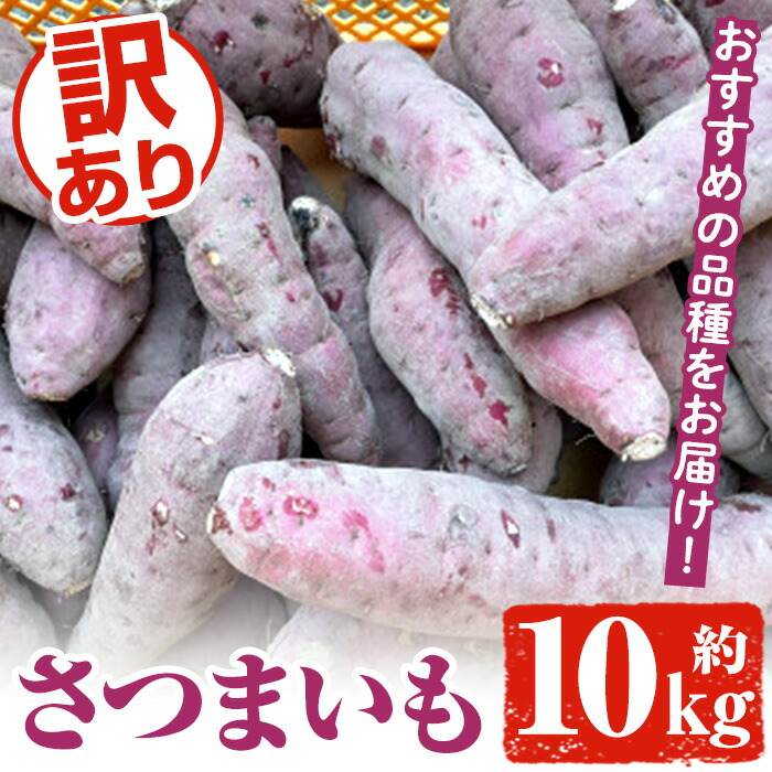 【ふるさと納税】＜先行予約受付中！2025年8月下旬以降順次発送予定＞訳あり！さつまいも (約10kg) 鹿児島県 阿久根市 さつま芋 サツマイモ 紅はるか 紅さつま シルクスイート 訳アリ 野菜 芋 イモ【松永青果】a-12-357-z
