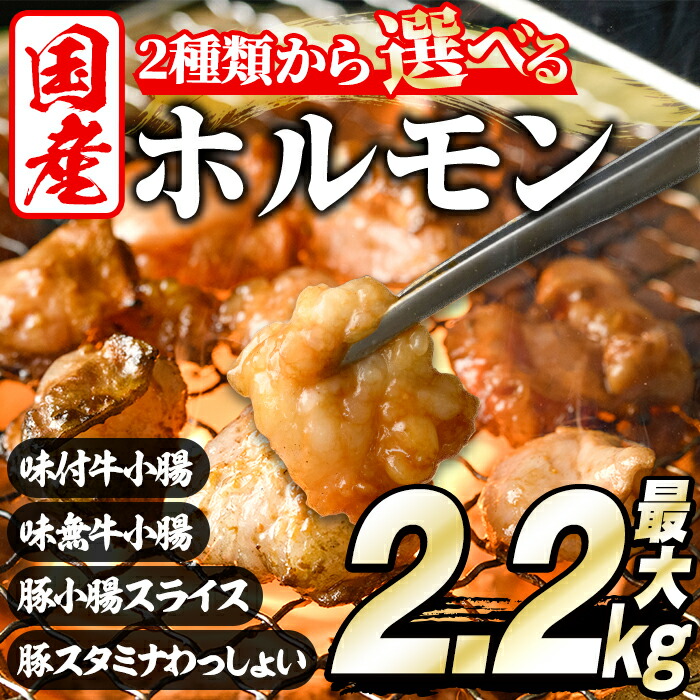 【ふるさと納税】＼高評価★4.90獲得！／＜選べる2種＞ホルモン(牛×豚ホルモン4種 合計2.2kg/牛ホルモン2種 合計2kg) 大容量 国産 小腸 味付 パック 詰め合わせ 鍋 モツ おかず 小分け 個包装 焼肉【スターゼン】