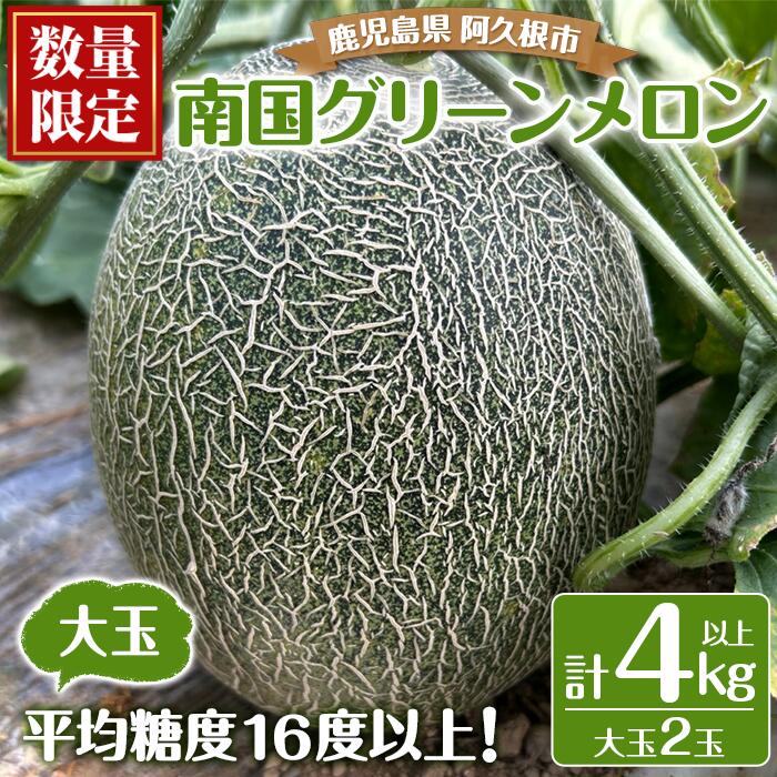 【ふるさと納税】＜先行予約受付中！2025年7月上旬以降順次発送予定＞数量・期間限定！厳選摘果！南国グリーンメロン(大玉2個) 国産 めろん フルーツ 果物 青果 温室 大玉果 デザート 夏 旬 【春田幸一】a-15-18-z