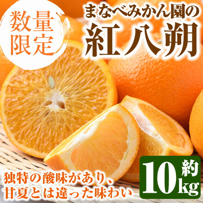 【ふるさと納税】＜先行予約受付中！2026年2月上旬以降順次発送予定＞まなべみかん園の紅八朔(約10kg) 国産 鹿児島県産 阿久根市産 柑橘類 みかん ミカン 蜜柑 果物 フルーツ べにはっさく 期間限定 数量限定 贈答用 ギフト デザート【有限会社まなべみかん園】a-16-64-z