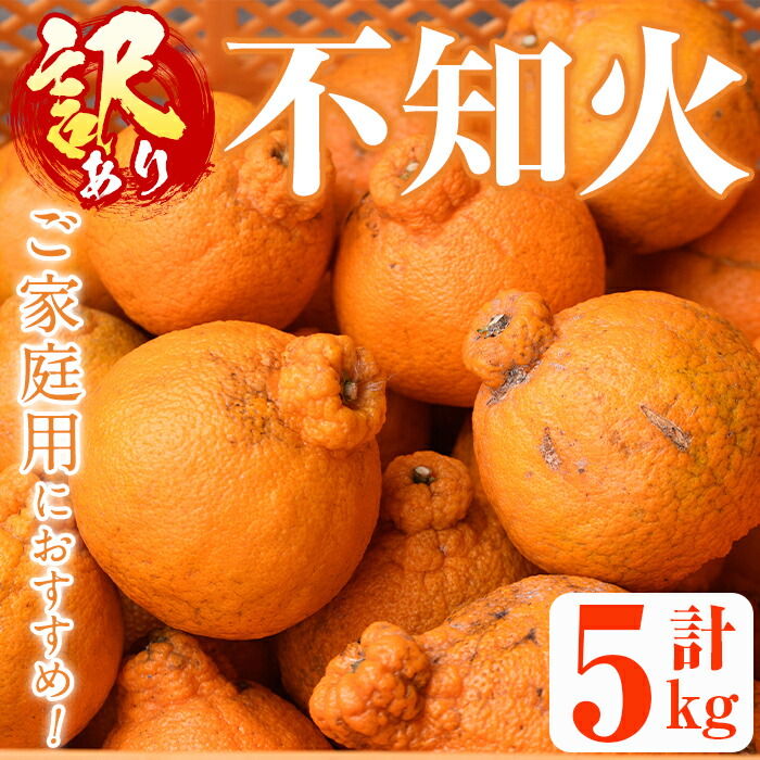 【ふるさと納税】＜先行予約受付中！2026年1月上旬以降順次発送＞＜訳あり・不揃いの為＞数量限定！無加温ハウス不知火(5kg) 国産 果物 フルーツ 柑橘 期間限定【桐野柑橘株式会社】a-18-21-z