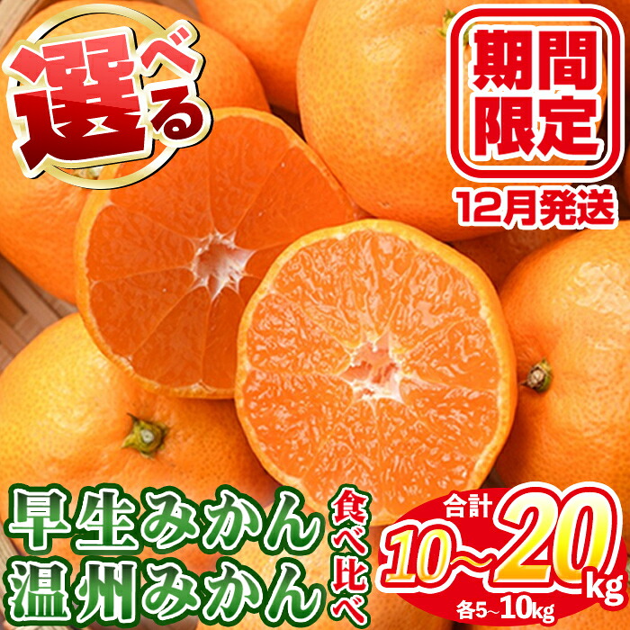 【ふるさと納税】＜先行予約受付中！2026年12月上旬以降順次発送予定＞ ＜容量が選べる！＞数量限定！早生・温州ミカン食べ比べセット(合計10～20kg) 国産 フルーツ 果物 蜜柑 柑橘【三笠農業生産】｜鹿児島県阿久根市 29,250円