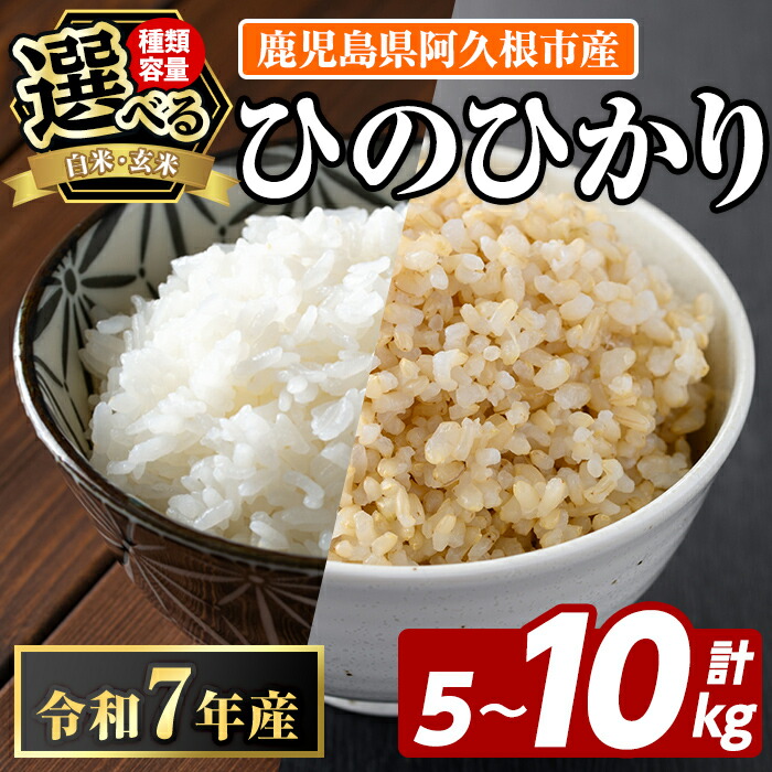 楽天市場】【ふるさと納税】＜種類・容量が選べる！＞鹿児島県産のお米