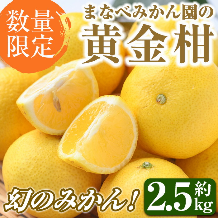 【ふるさと納税】＜先行予約受付中！2026年2月上旬以降順次発送予定＞まなべみかん園の黄金柑(約2.5kg) 国産 鹿児島県産 阿久根市産 柑橘類 果物 フルーツ みかん ミカン 蜜柑 期間限定 数量限定 贈答用 ギフト プレゼント デザート 【有限会社まなべみかん園】a-14-3-z
