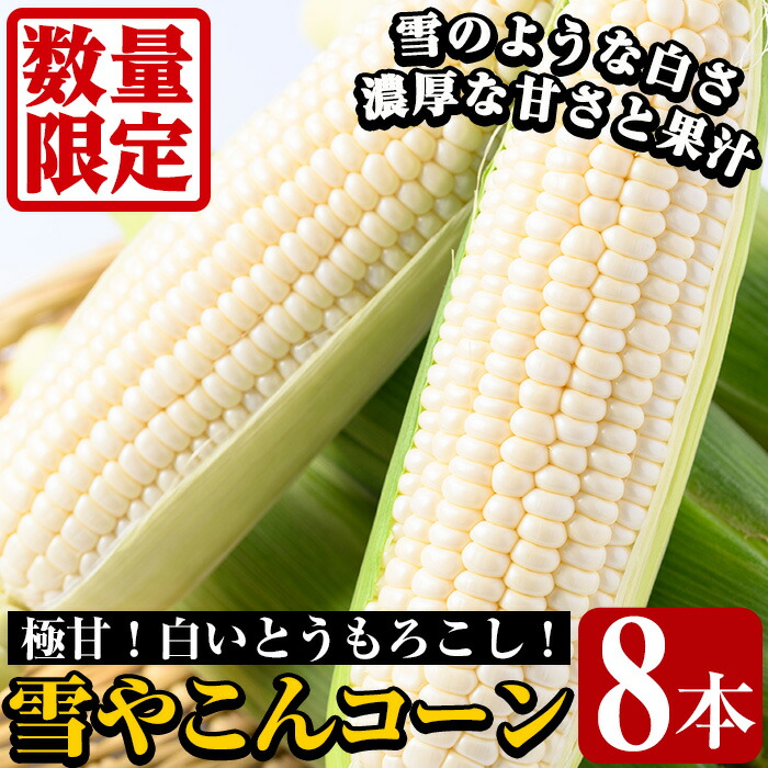 楽天市場】【ふるさと納税】＜訳あり＞＜先行予約受付中！2024年9月