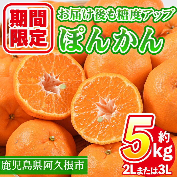 【ふるさと納税】＜先行予約受付中！2025年12月下旬以降順次発送予定＞数量限定！鹿児島県産 手詰めぽんかん(計約5kg・2L or 3L) 旬 フルーツ 果物 くだもの ポンカン 早生系統 デザート ノーワックス 阿久根市産 期間限定 数量限定 手詰 手作業【三笠農業生産】a-14-64-z