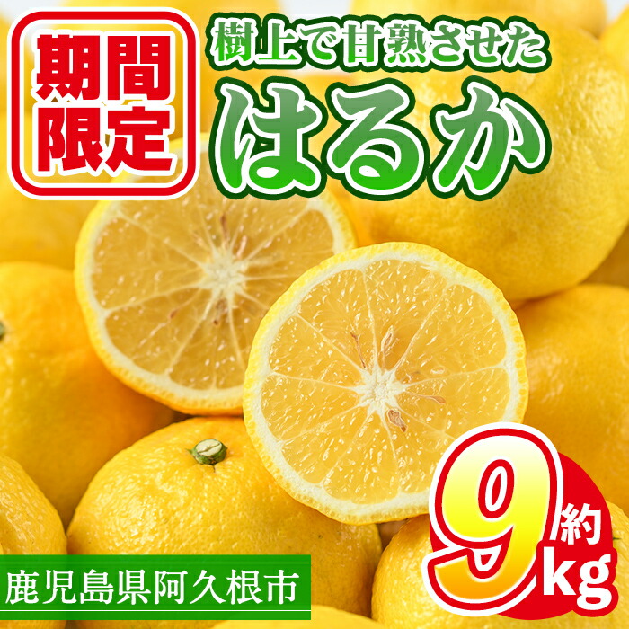 【ふるさと納税】＜先行予約受付中！2026年2月上旬以降順次発送予定＞数量限定！鹿児島県産 はるか(約9kg) 国産 柑橘 果物 果実 くだもの フルーツ 旬 デザート 期間限定 数量限定 鹿児島県産 阿久根市産 樹上完熟 ノーワックス【三笠農業生産】a-14-65-z