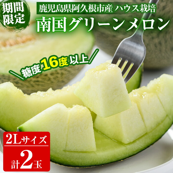 【ふるさと納税】＜先行予約受付中！2025年6月上旬以降順次発送予定＞数量限定！鹿児島県産南国グリーンメロン(2Lサイズ×2個) メロン フルーツ 果物 鹿児島 国産 青肉 ハウス ハウス栽培 期間限定 2L【東新グリーンファーム合同会社】a-12-347-z