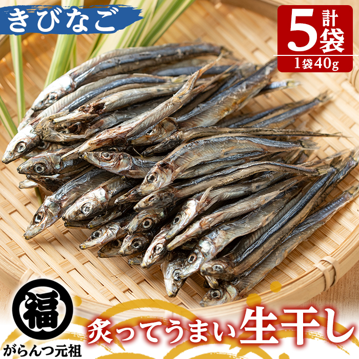 珍しい 鹿児島県阿久根市産生干し きびなご 計5袋 1袋40g 魚が持つ旨みと栄養を凝縮したがらんつ干物 2-207 fucoa.cl