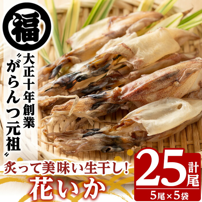 【ふるさと納税】鹿児島県阿久根市産生干し「花いか」(計25尾・5尾×5袋)国産 魚介 干物 ひもの イカ 烏賊 がらんつ干物【マルフク川畑水産】akn029-06|鹿児島県阿久根市