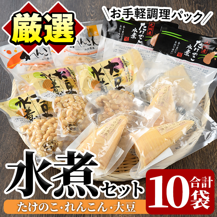 【ふるさと納税】たけのこ・れんこん・大豆の水煮(合計10袋)国産 九州産 筍 水煮 蓮根 野菜 使い切り 小分け 個包装【上野食品】akn008-17