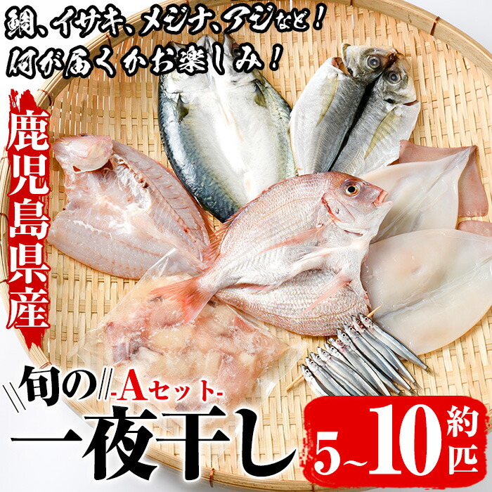 【ふるさと納税】数量限定！阿久根市産の旬の一夜干しグルメ＜A＞セット(鯛・アジ・イカ・サバなど)国産 鮮魚 詰め合わせ お楽しみ 海の幸 魚介類 干物 海鮮【さるがく水産】akn028-06 8,760円