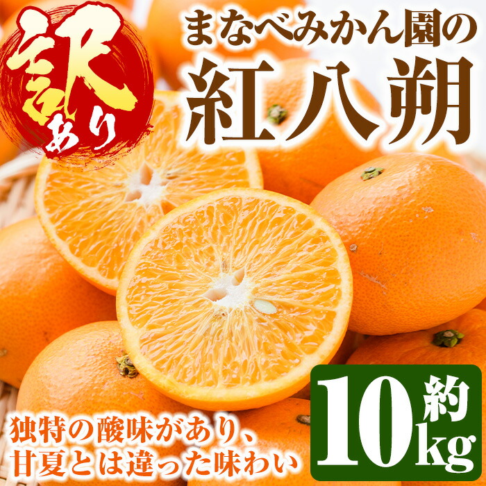 【ふるさと納税】＜先行予約受付中！2026年2月上旬以降順次発送予定＞訳あり！まなべみかん園の紅八朔(約10kg) 国産 鹿児島県産 阿久根市産 柑橘類 みかん 蜜柑 果物 ミカン デザート フルーツ 数量限定 期間限定 ご自宅用 ご家庭用【有限会社まなべみかん園】a-14-71-z