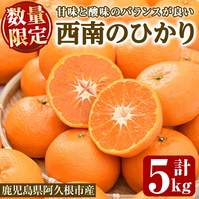 【ふるさと納税】＜先行予約受付中！2025年12月以降順次発送予定＞＜期間・数量限定＞西南のひかり(約5kg) 国産 鹿児島県 阿久根市 果実 果物 フルーツ 柑橘 デザート 酸味 甘味【桐野柑橘株式会社】a-12-299-z