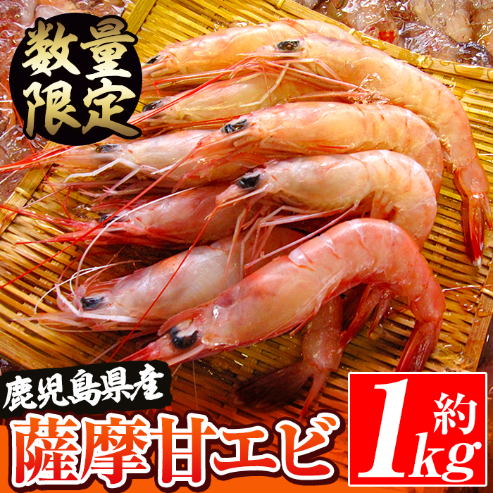 【ふるさと納税】＼高評価★4.42獲得！／数量限定！鹿児島県阿久根産 薩摩甘エビ(約1kg・40～70尾) 国産 阿久根市産 えび 海老 急速冷凍 冷凍配送 魚貝類 魚介類 海産物 【濱崎魚類】a-14-63-z