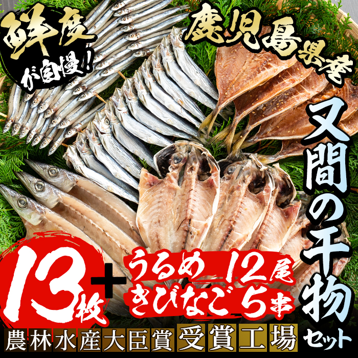 店舗 鹿児島県産 アジ やウルメ丸干し をセットで 5串 12尾 5種 かますなど干物13枚にきびなご串 又間のひものセット 干物詰め合わせ 2-8  魚介類・水産加工品