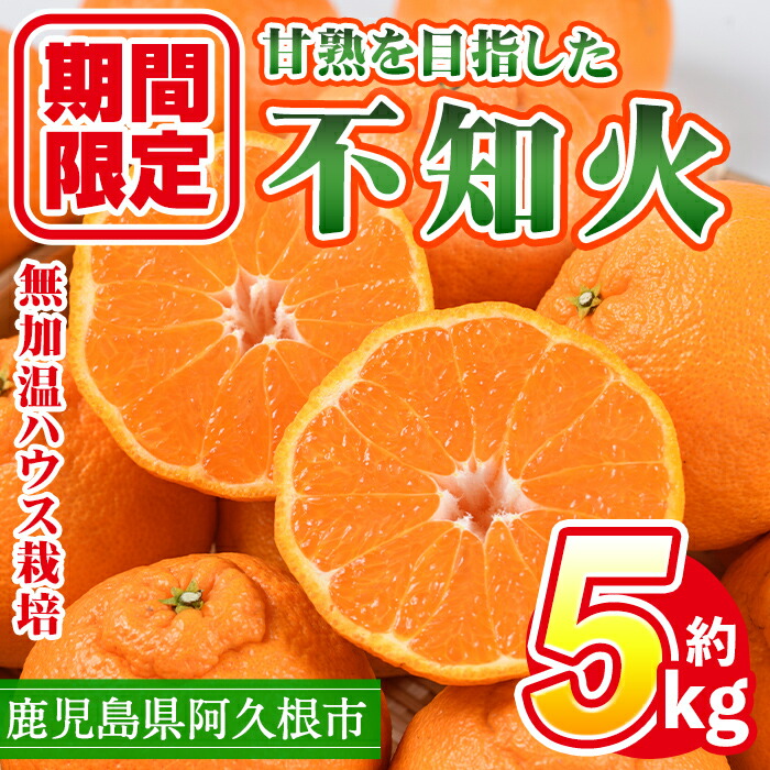 【ふるさと納税】＜先行予約受付中！2026年1月上旬以降順次発送予定＞数量限定！鹿児島県産無加温ハウス栽培 不知火(計約5kg：大将季) 柑橘 果物 くだもの フルーツ 旬 しらぬい シラヌイ ハウス栽培 無加温 数量限定 期間限定【三笠農業生産】a-24-61-z